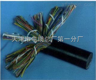 天津市電纜總廠第一分廠 專業打造礦用通信電纜，保障井下配線與用戶線路穩定可靠